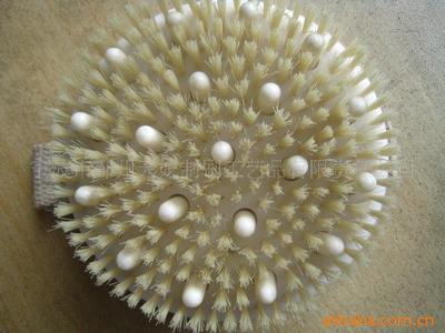 【供應(yīng)外貿(mào)出口天然環(huán)保浴刷(圖)】?jī)r(jià)格,廠(chǎng)家,圖片,工藝禮品項(xiàng)目合作,寧波市鄞州天妃制刷工藝品有限責(zé)任公司-